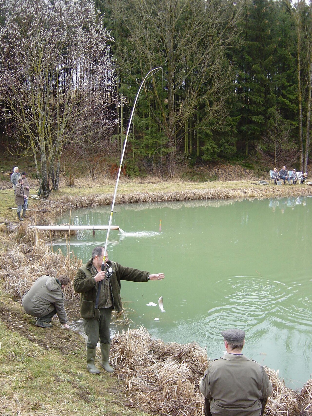 Galeriebild: Bilder vom 14.03.04 008